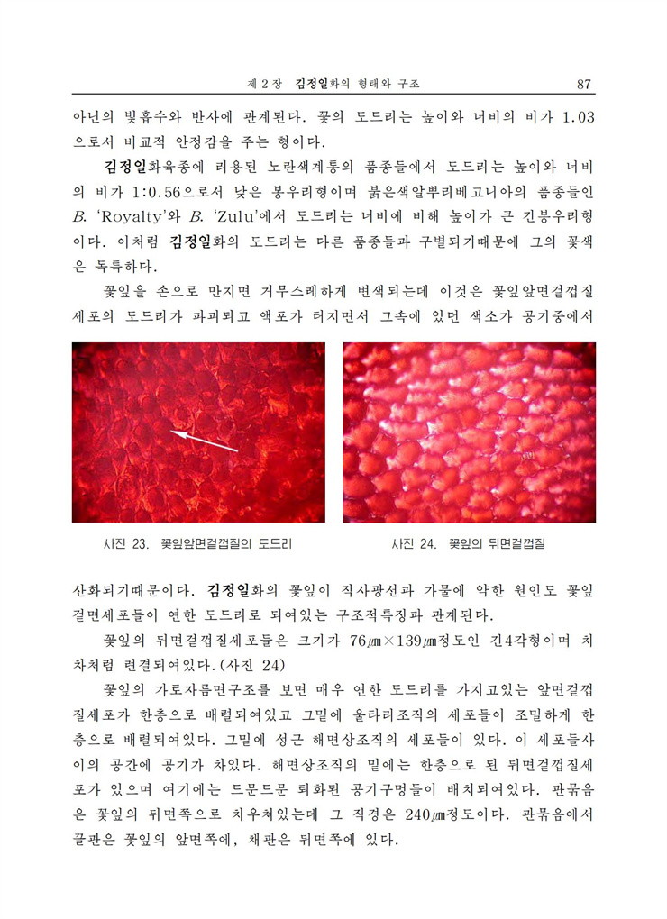 <b>김정일</b>화전서_87.jpg