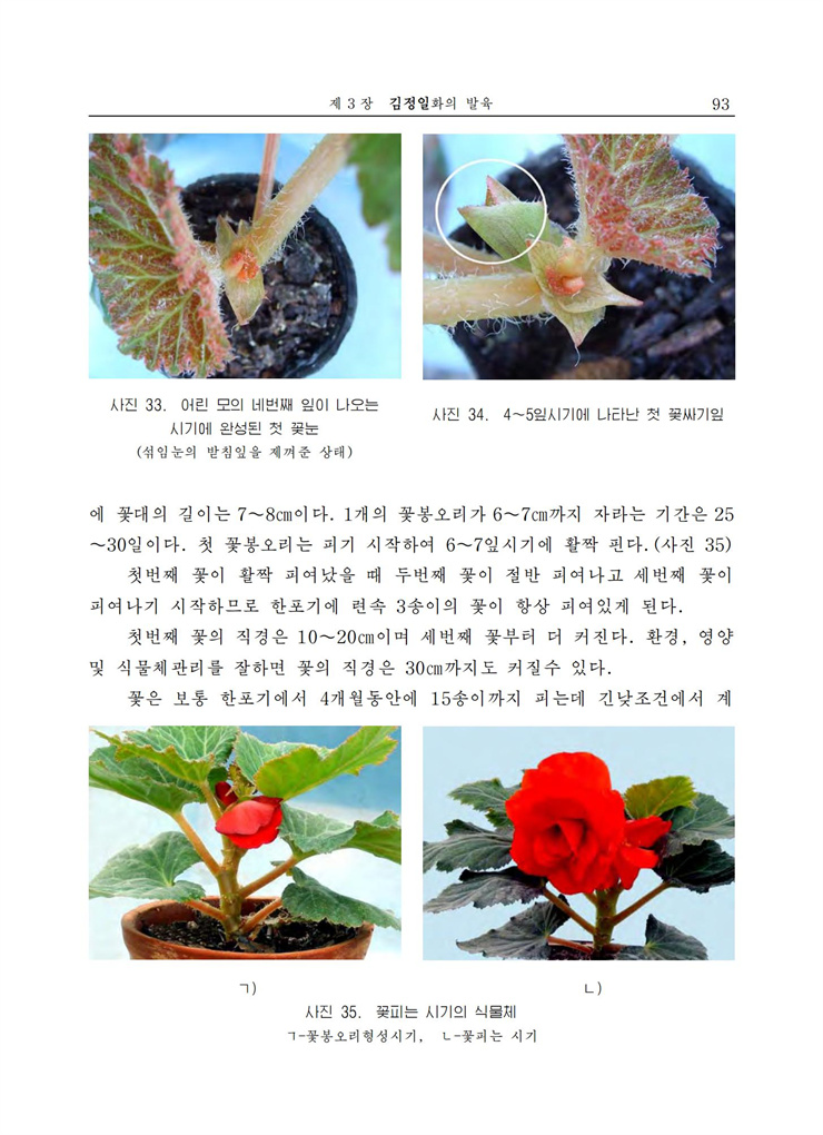 <b>김정일</b>화전서_93.jpg