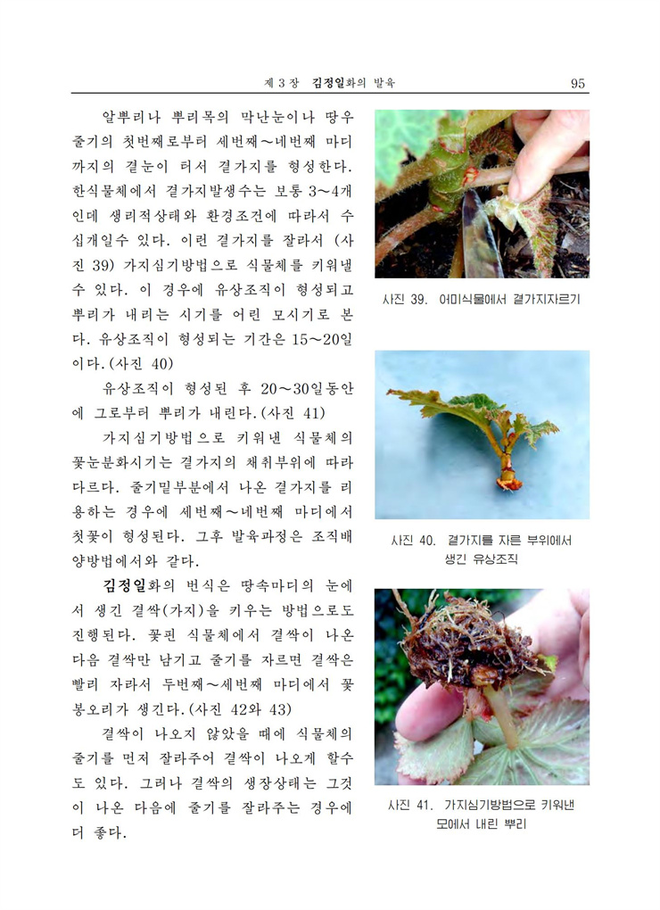 <b>김정일</b>화전서_95.jpg