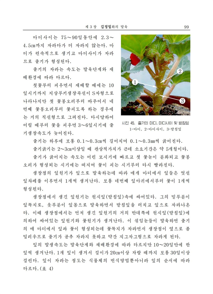 <b>김정일</b>화전서_99.jpg