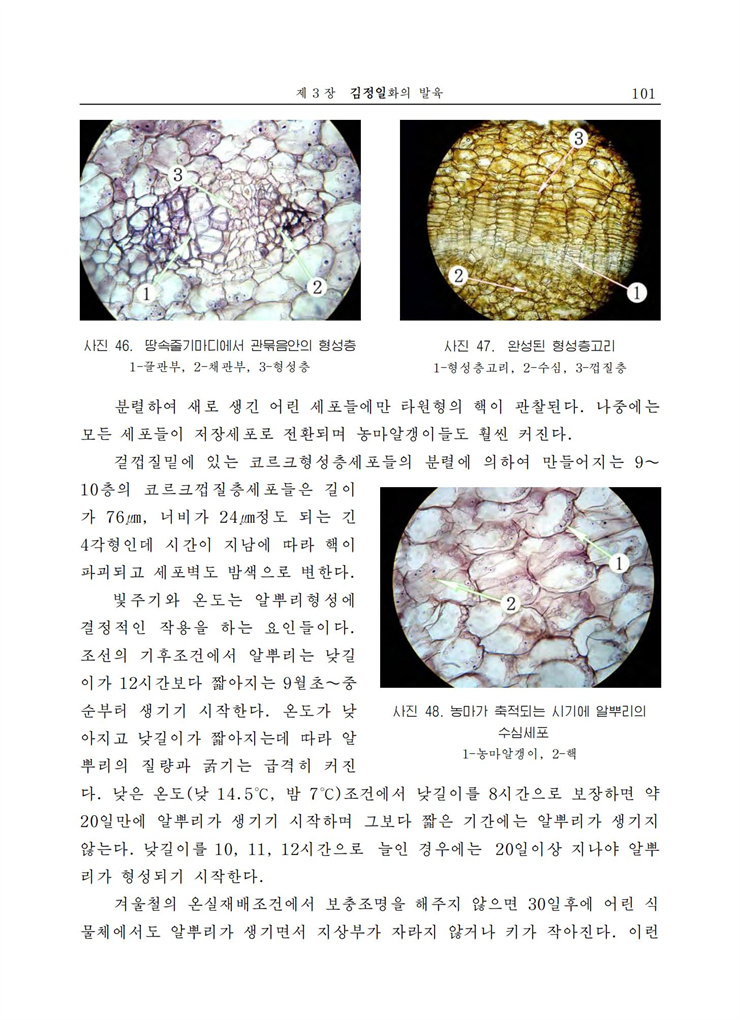 <b>김정일</b>화전서_101.jpg