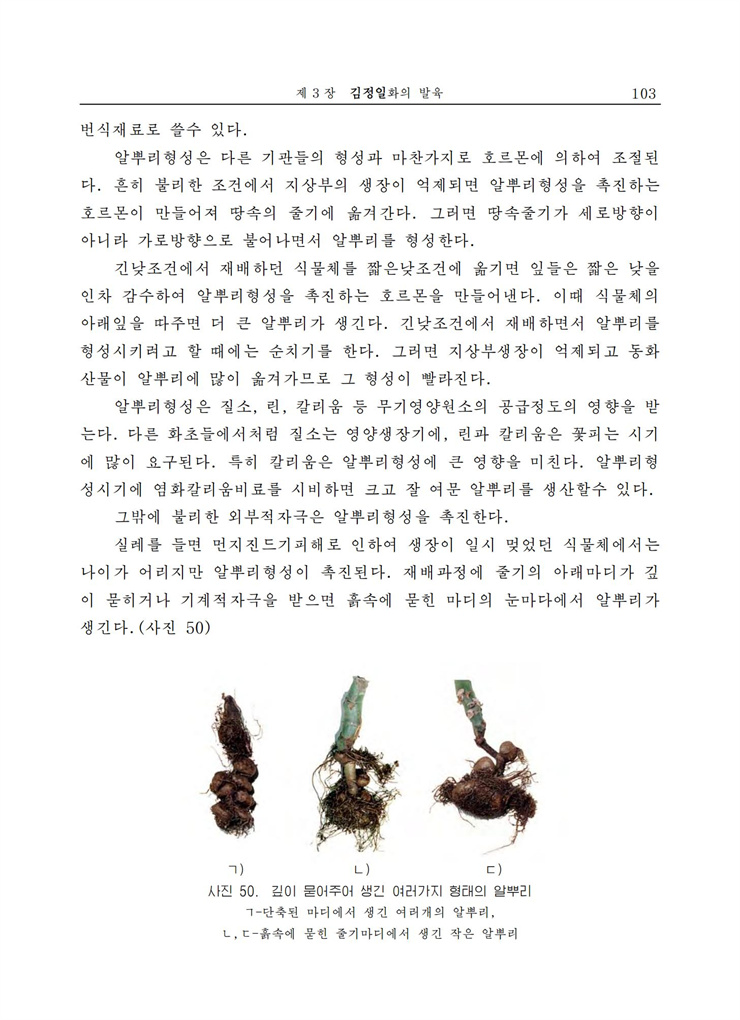 <b>김정일</b>화전서_103.jpg