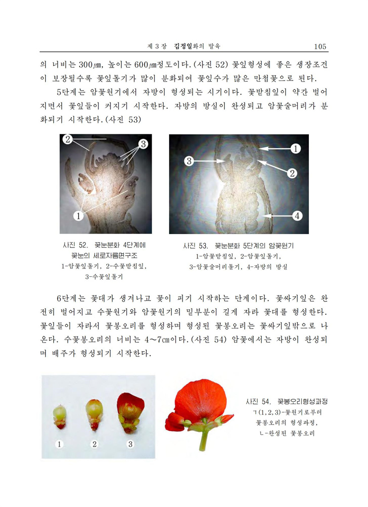 <b>김정일</b>화전서_105.jpg