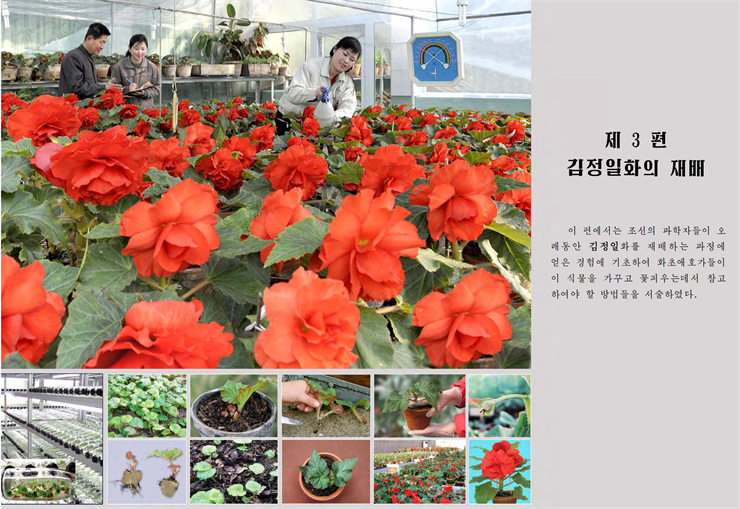 <b>김정일</b>화전서_120.jpg