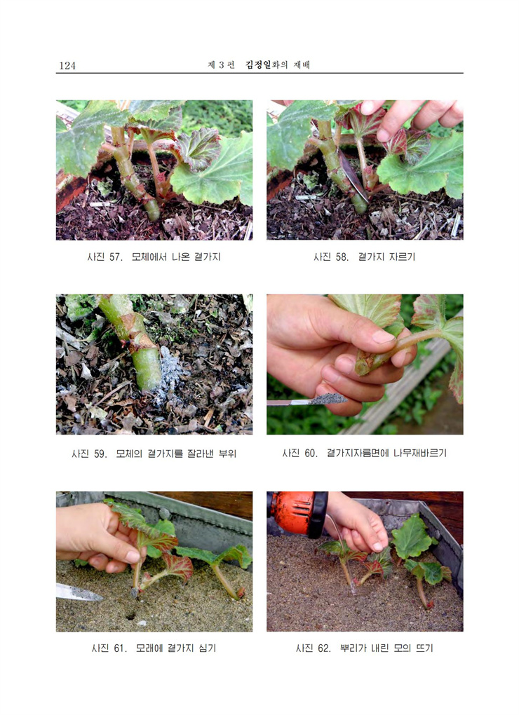 <b>김정일</b>화전서_123.jpg