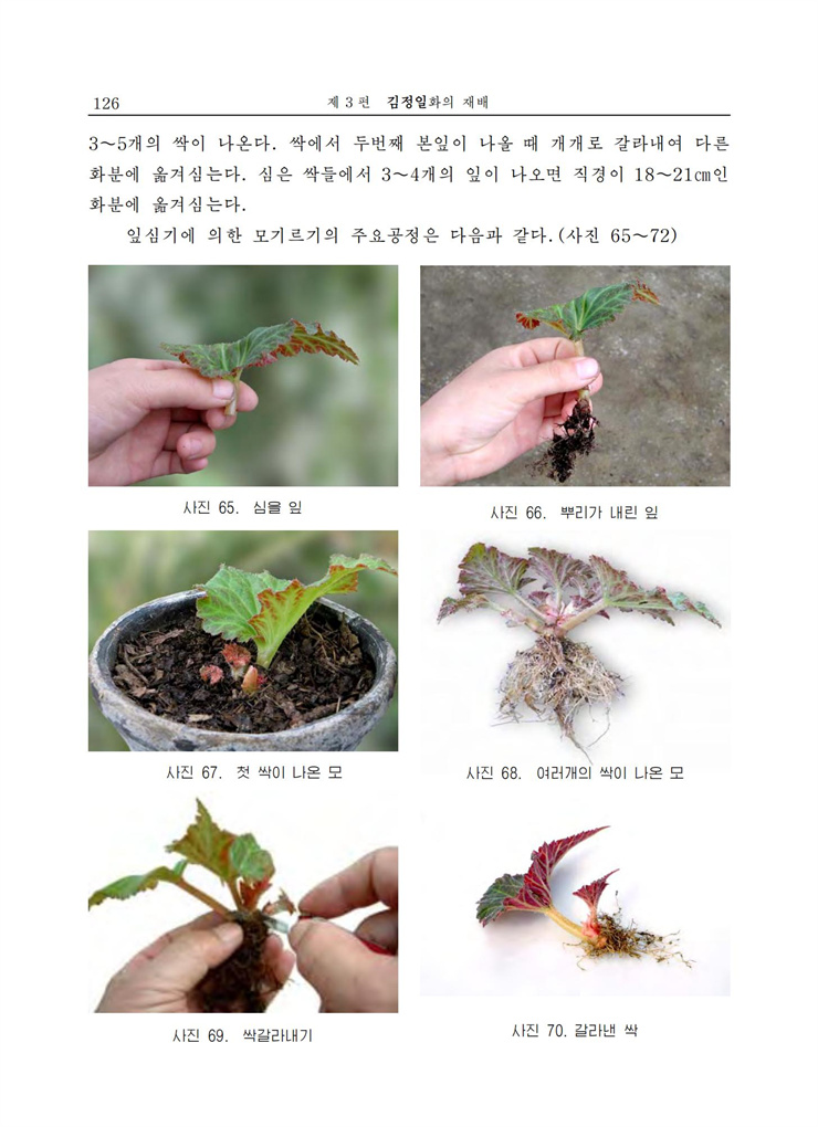 <b>김정일</b>화전서_125.jpg