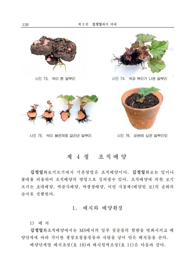 <b>김정일</b>화전서_129.jpg