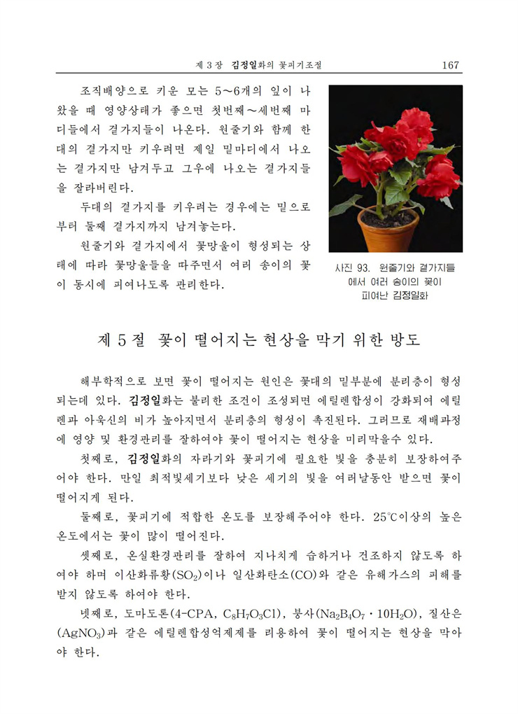 <b>김정일</b>화전서_166.jpg