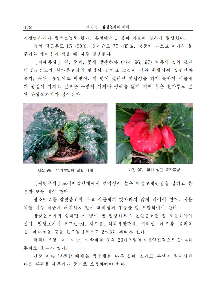 <b>김정일</b>화전서_171.jpg