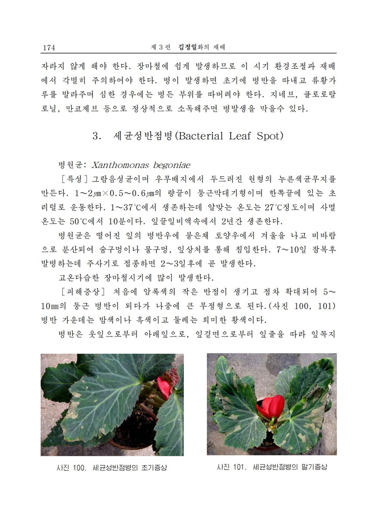 <b>김정일</b>화전서_173.jpg