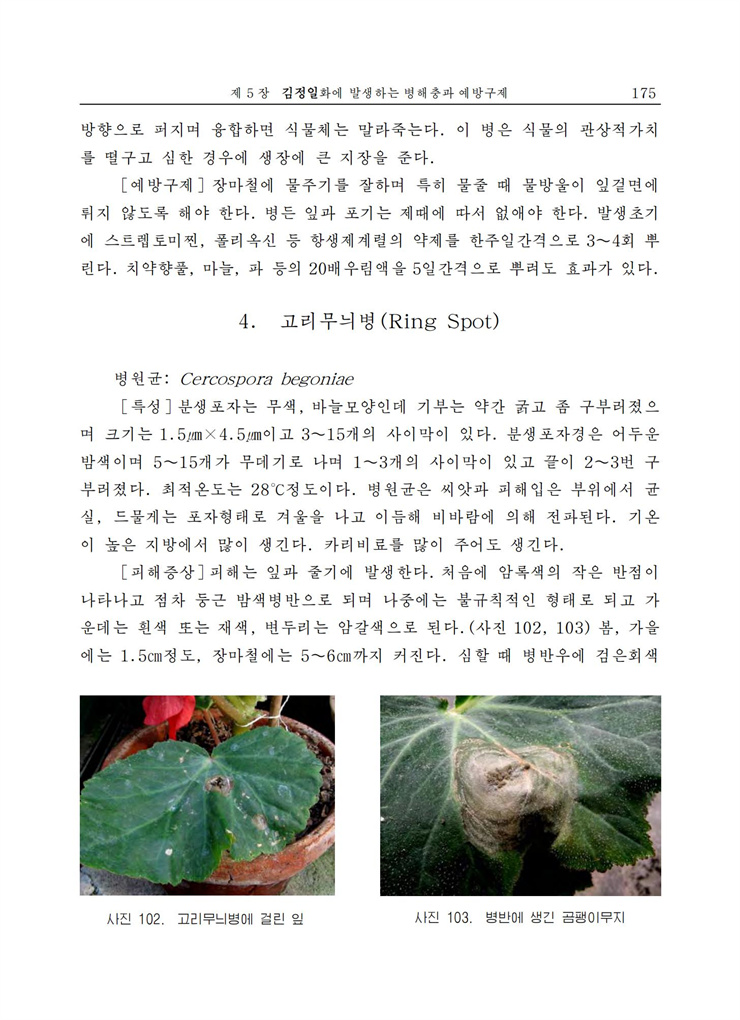 <b>김정일</b>화전서_174.jpg