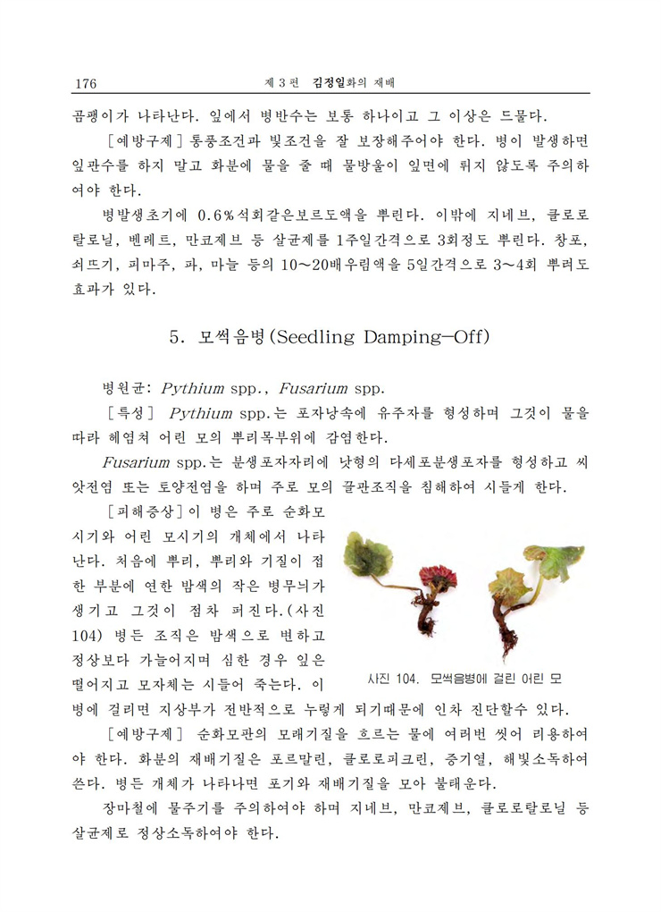 <b>김정일</b>화전서_175.jpg