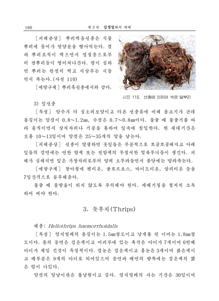 <b>김정일</b>화전서_179.jpg