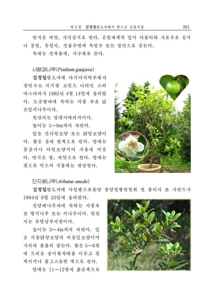 <b>김정일</b>화전서_292.jpg