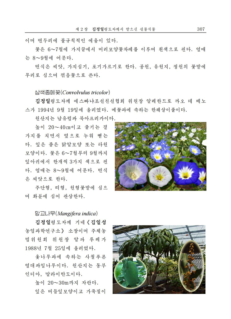 <b>김정일</b>화전서_298.jpg