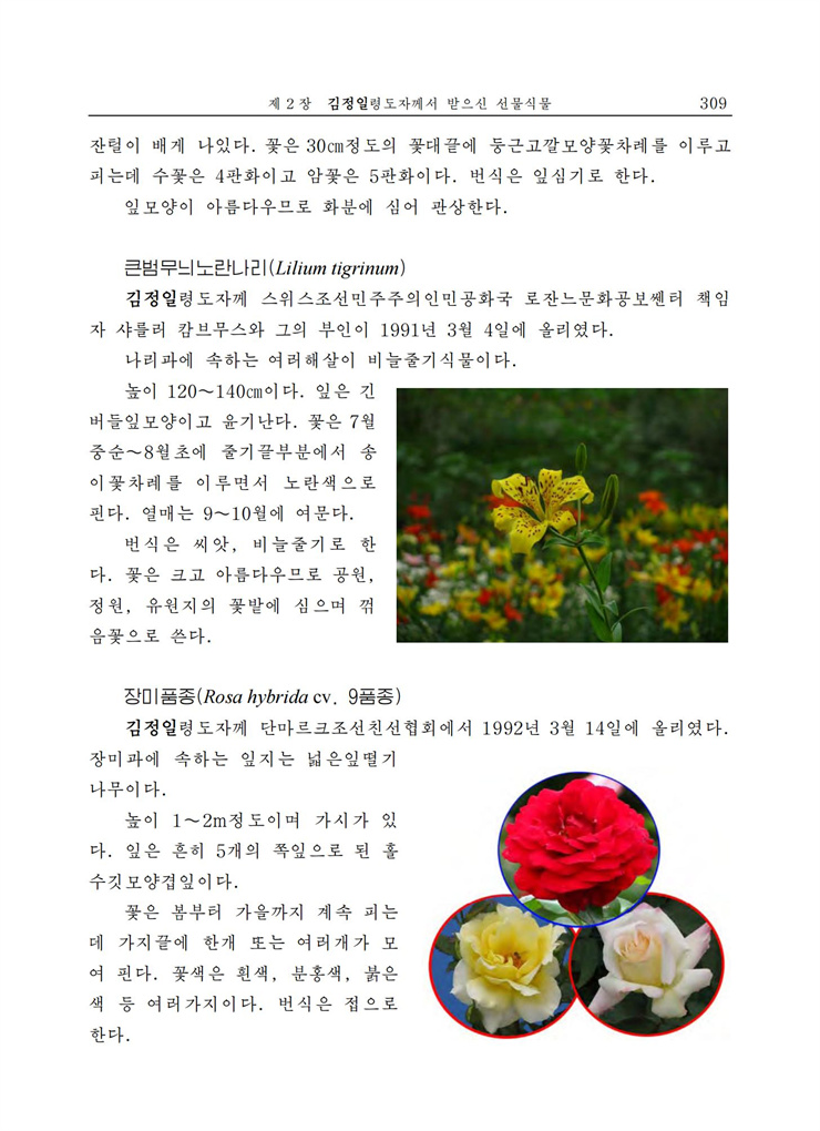 <b>김정일</b>화전서_300.jpg