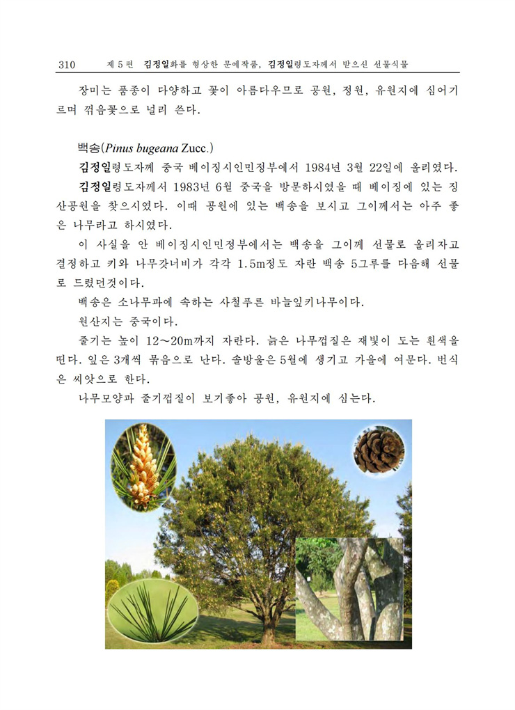 <b>김정일</b>화전서_301.jpg