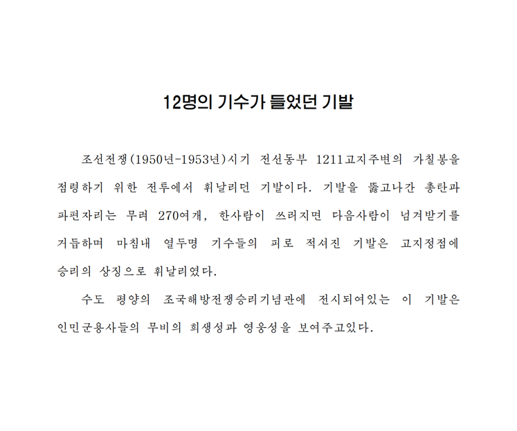 12명의 기수가 들었던 기발-조문_00.png