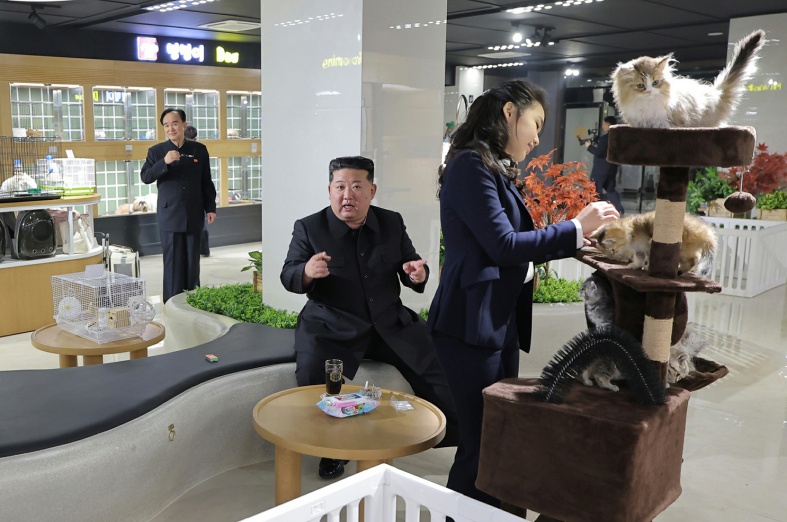 index (12).jpg
